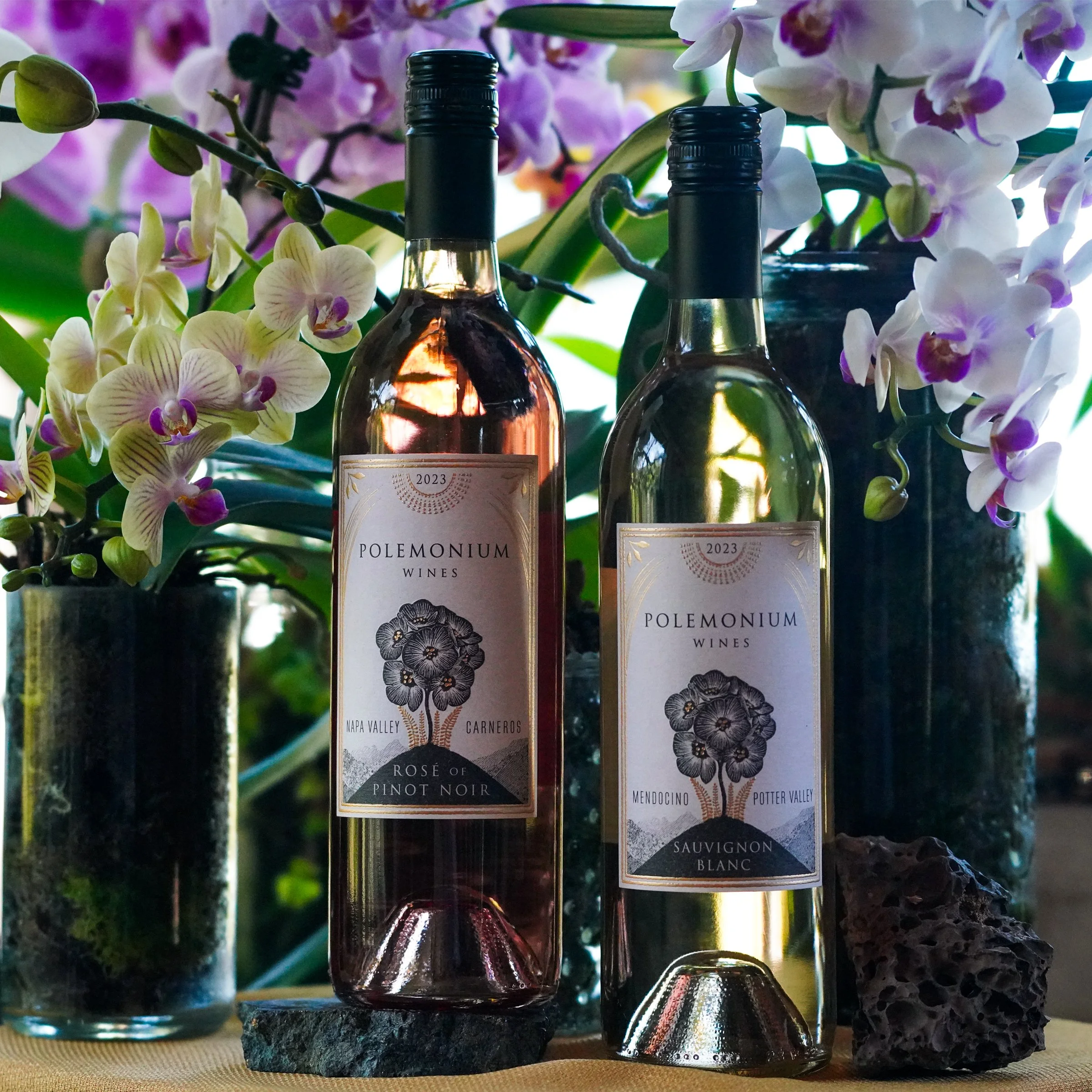 WINES | Explore Our Selection — POLEMONIUM WINES